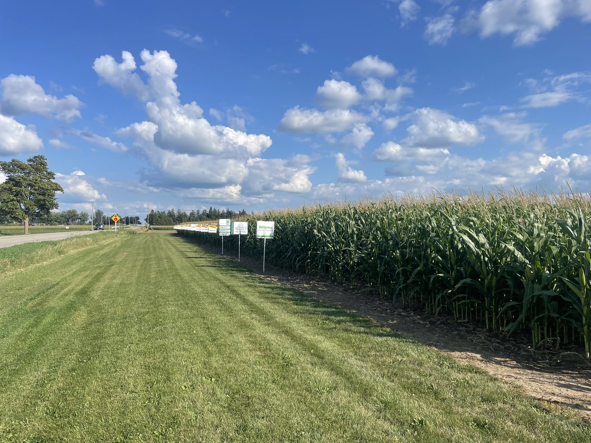 Plots are signed for tomorrow evenings open house. All are welcome. Plot tour starts at 7PM.