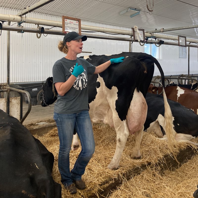 Agriculture in the Classroom SK tweet media