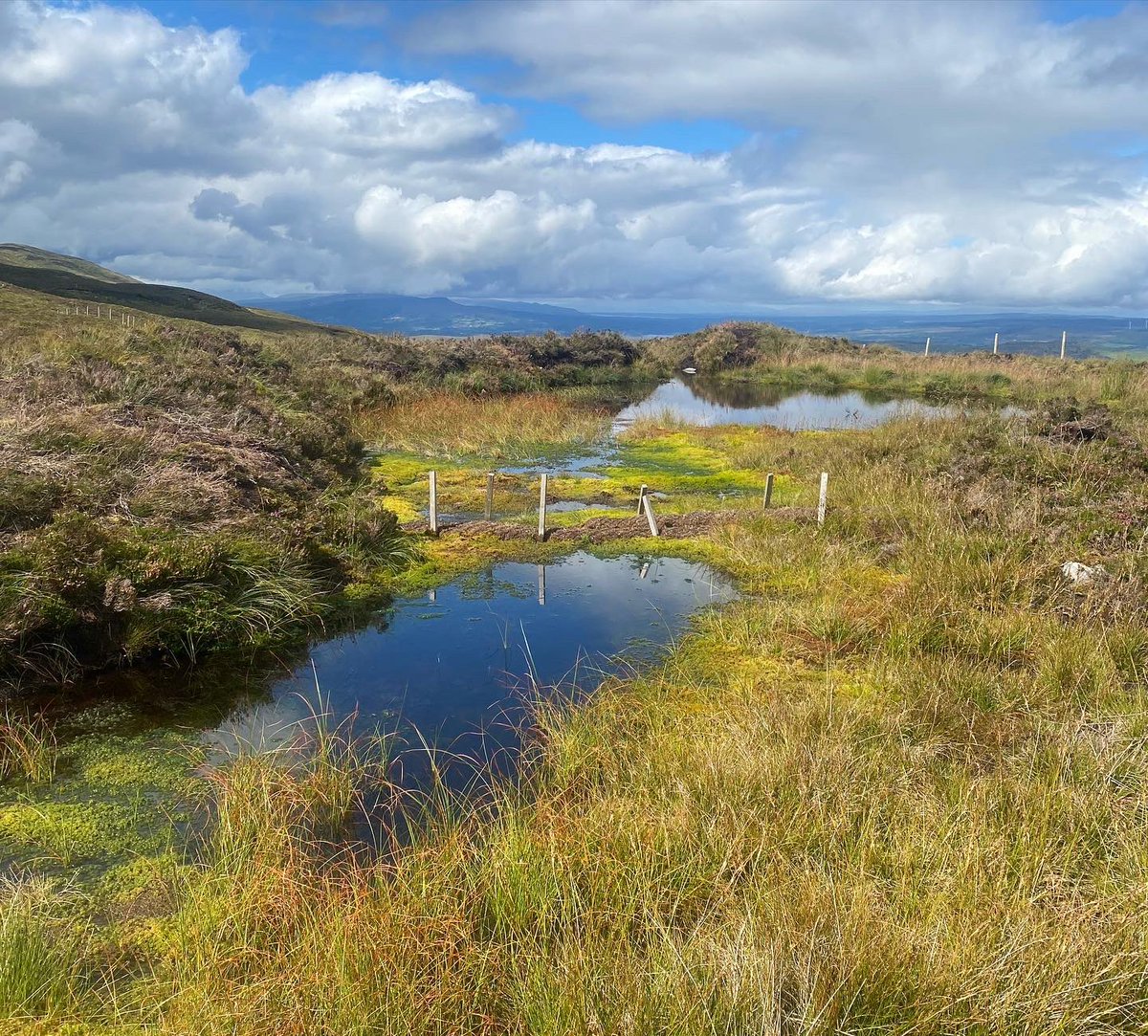 cahdaly's tweet photo. A beautiful day on the #stairwaytoheaven on #cuilcaghmountain in the stunning #fermanagh learning about #bogrestoration with @UlsterWildlife https://t.co/H1j7dkaVPn