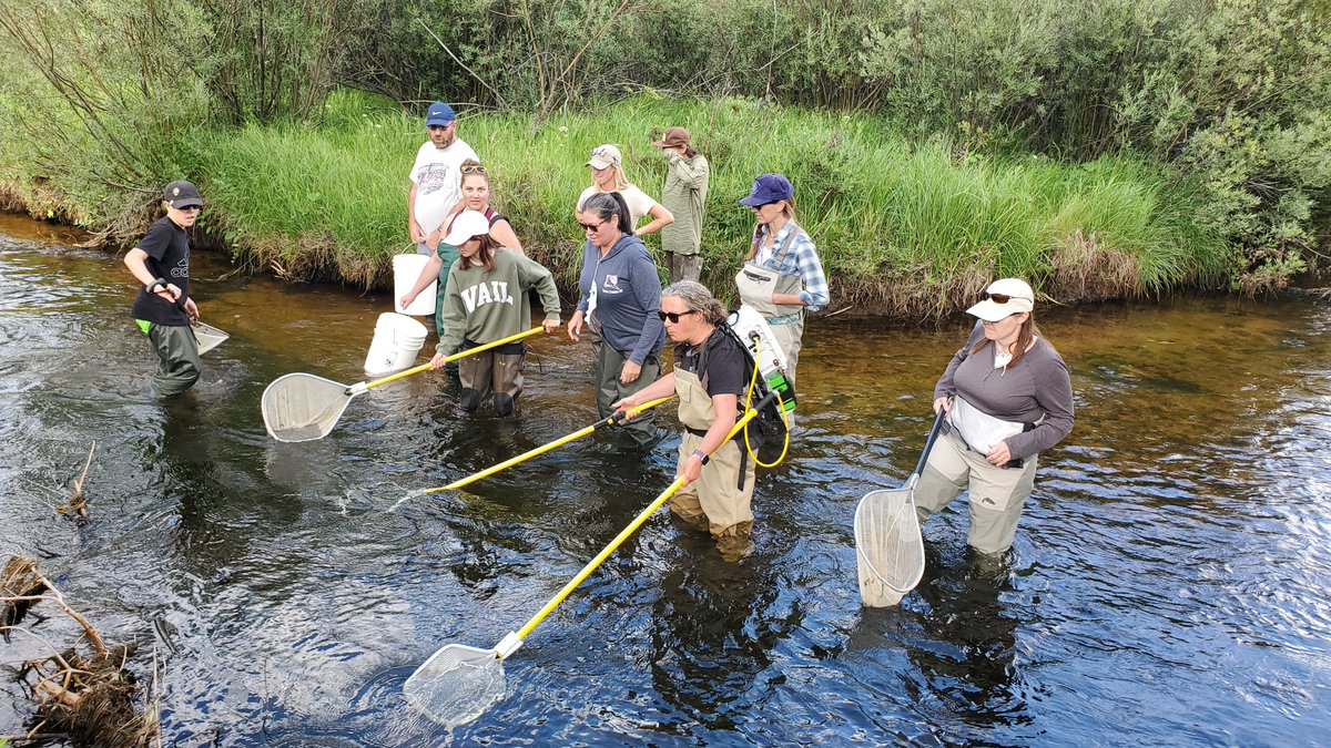 RiverWatchCO's tweet photo. Another successful training in the books! CSU Mountain Campus (Pingree Park) was a beautiful place to learn and explore. We're happy to welcome these awesome new groups to the program! #CitizenScience https://t.co/BeWk3Nkw9Z