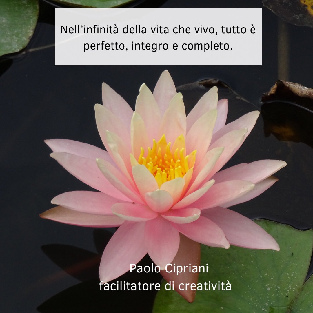 SentieriCrea's tweet image. Sbocciare come un fiore

#arteterapia #motivazione #pensiero