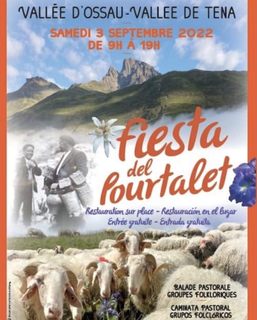 BIELLO ARAGÓN 🦁⛷⛰ tweet media