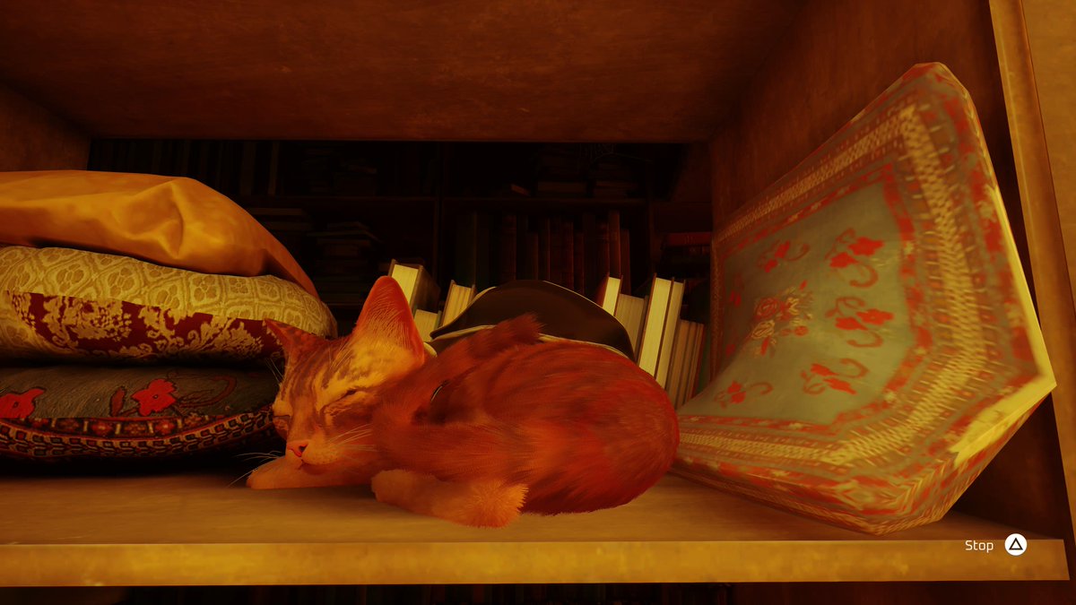 I would like a cat now 😭😭 #PS5Share, #Stray