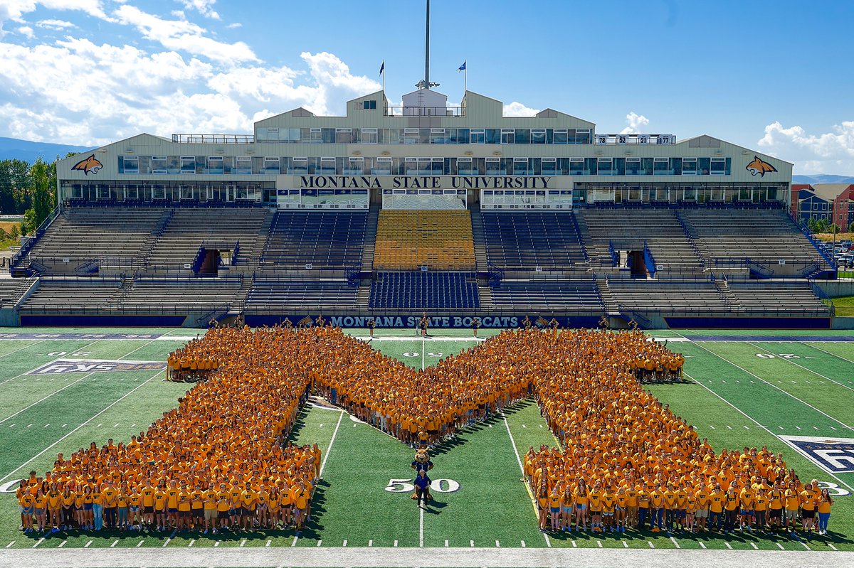 Montana State University tweet media