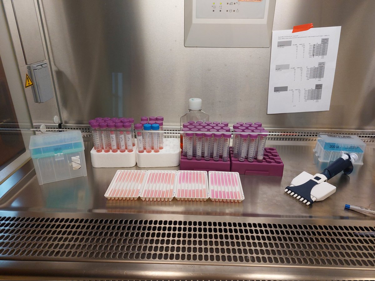 RourkeLab's tweet photo. Felt so nice to be back at the bench today doing what I love! Testing anti-cancer platinum compounds from @thewildtoads https://t.co/etZbPauUoy