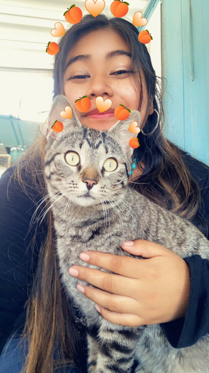 mudbonethetabby's tweet photo. https://t.co/lmUxEHCjoe