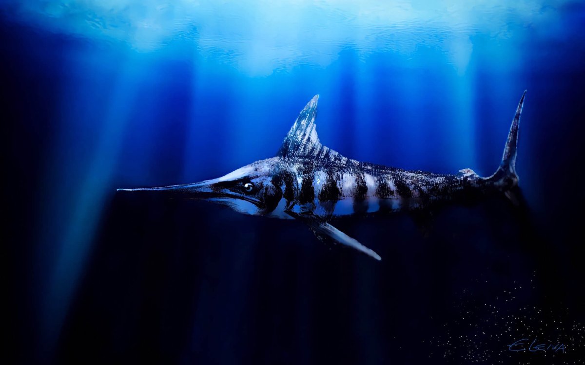 Carlos De Gracia tweet media