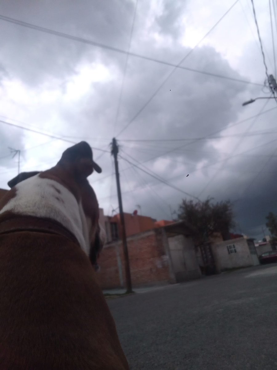 Vuela alto mi príncipe, se que desde el cielo vas a cuidar de nosotros, gracias por estos 9 años de felicidad y alegría te extrañare millones siempre serás mi príncipe, mi cangrejito hermoso...nunca te olvidaré siempre estarás en mi corazón, con amor mamá 😘😘😘😭😭😭😭😭😔😔😔