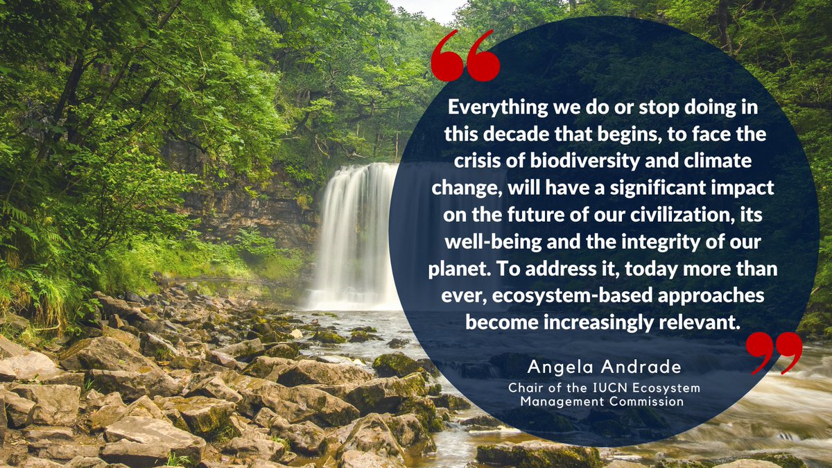 redlisteco's tweet photo. Angela Andrade @andradep2010 Chair of IUCN Ecosystem Management Commission @IUCN_CEM since 2016. She serves as Director of Climate Change and Biodiversity Policy at Conservation International in Colombia @CIColombia since 2009.
#climate change #EcosystemBasedSolutions https://t.co/U1RL9JS96z