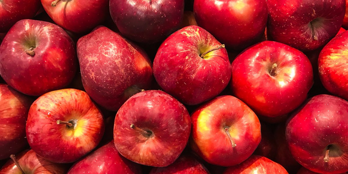 BS_PP's tweet photo. 🔨🍏🍫 
First reports of Apple luteovirus 1, Apple rubodvirus 1 and Apple hammerhead viroid infecting apples in Belgium #NewDiseaseReports by @NuriaFontde @BE_Phytopath #Apple #Viroid https://t.co/XJ27gVFehU https://t.co/J9RswyugTg