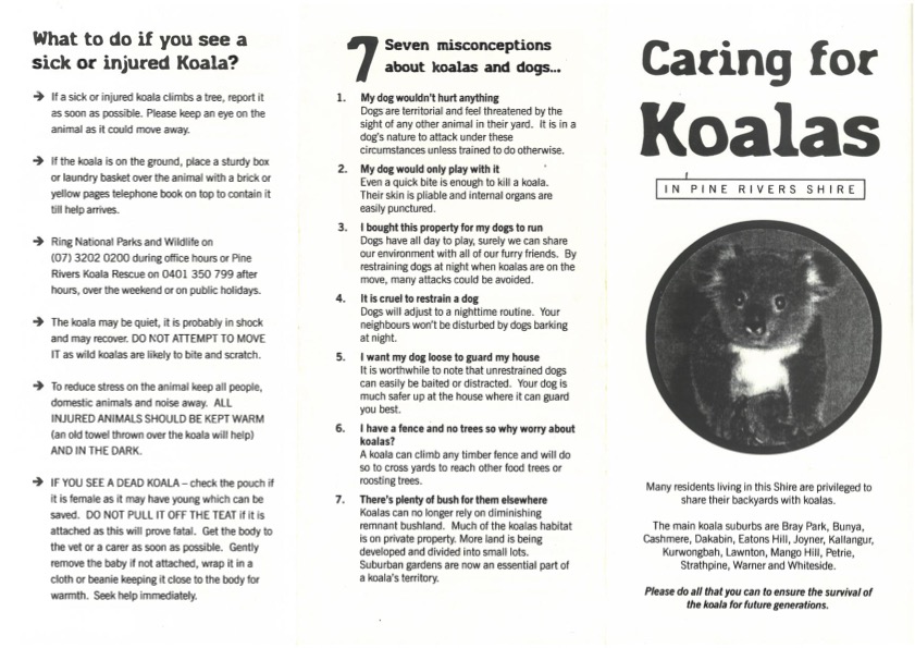 KHSRC1's tweet photo. #PineRiversShire also released a #brochure on #caring and #living with #koalas. Koalas in #SouthEastQueensland are under extreme #threat.
🐨🌿
#WildlifeWednesday #WBW #SaveOurKoalas #SaveKoalaHabitat https://t.co/3vANLW4bOK