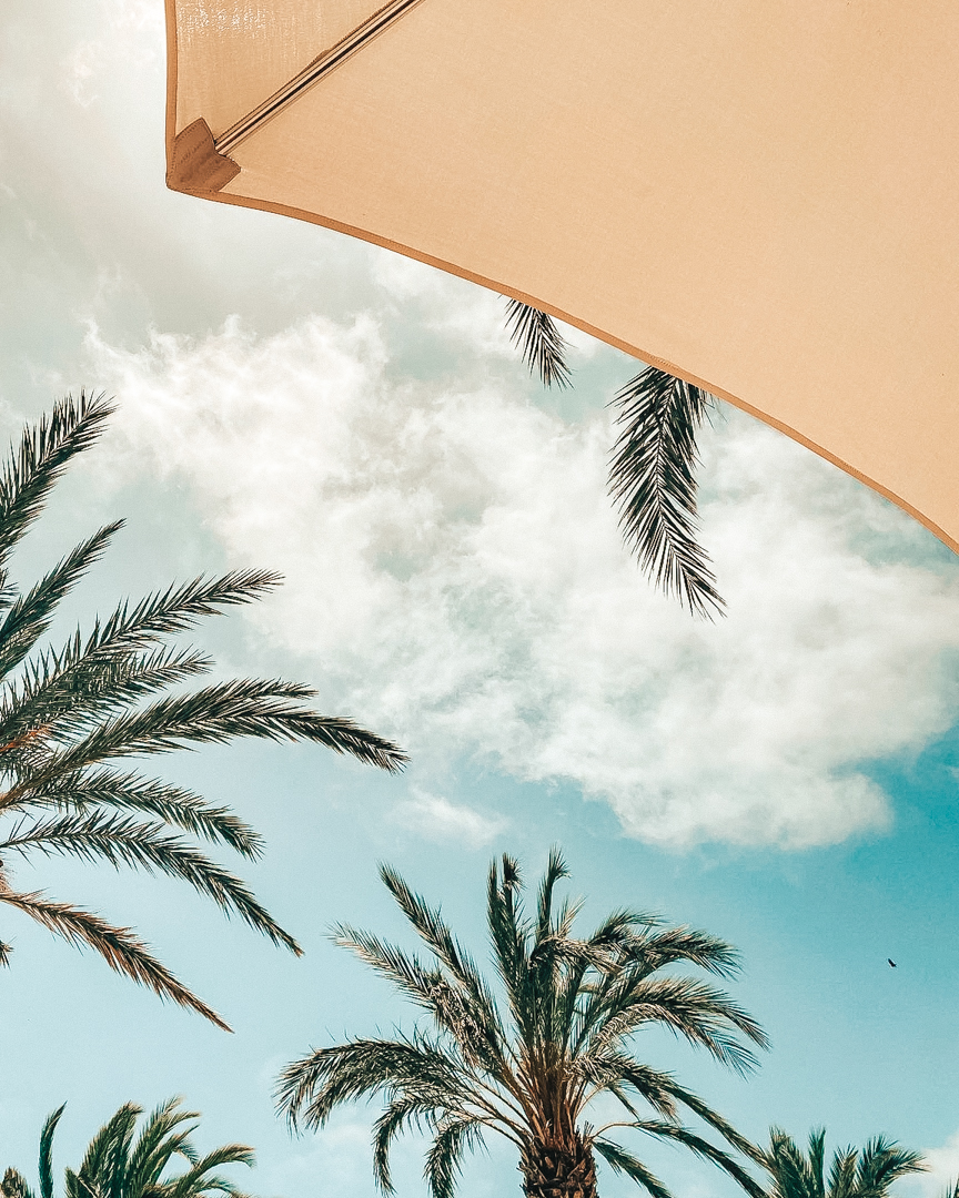 BeachBound Vacations tweet media