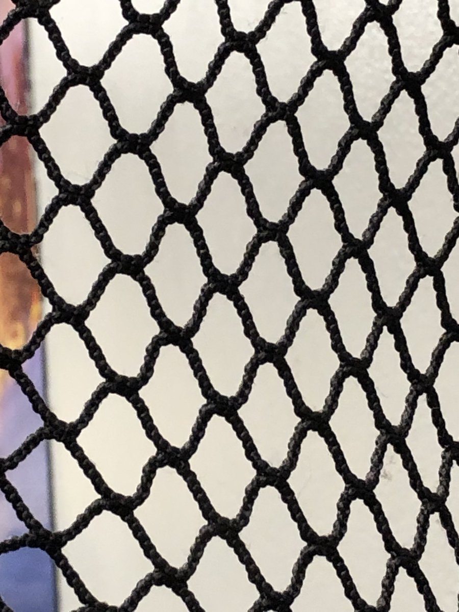 William Handoko tweet media