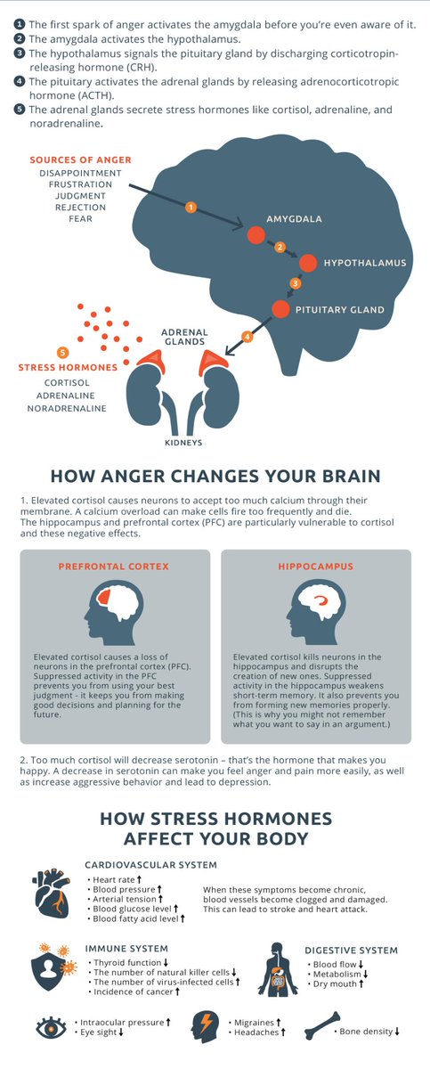 Information on how ANGER negatively impacts your brain and body, so dont be...                
Source: NICABM