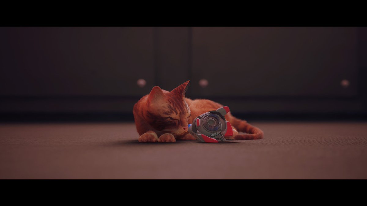 MitchElderEmo's tweet photo. I'm not crying, you are! A small game that packs a might punch! Incredible story telling and beautiful throughout! @HKdevblog #Stray #BigSad #screenshot https://t.co/GY746xbhe6