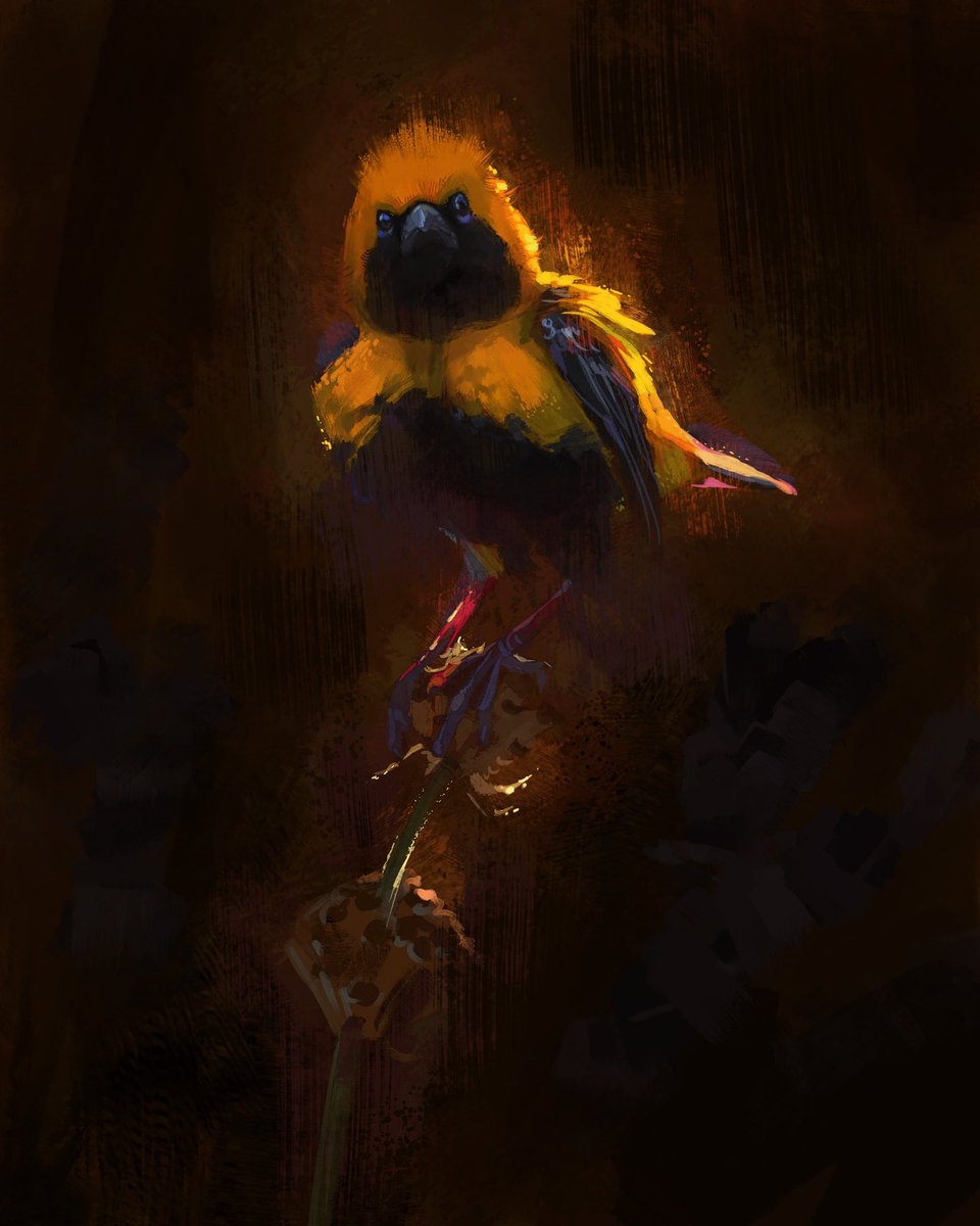 Devin - New Artbook on KS! tweet media