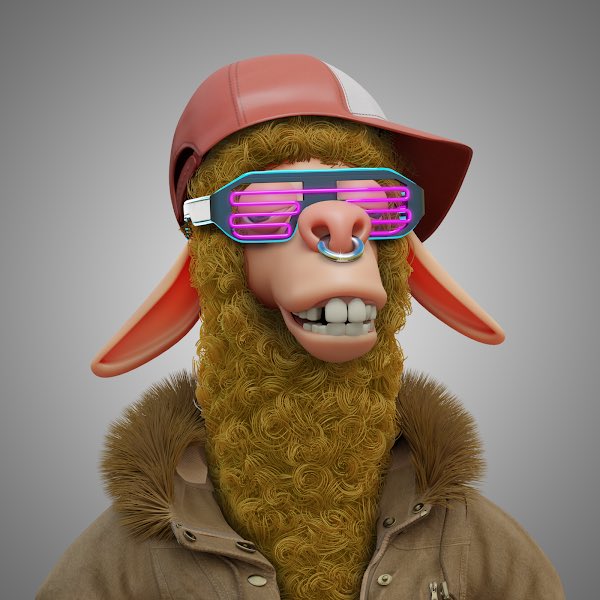 funkknuckles tweet media