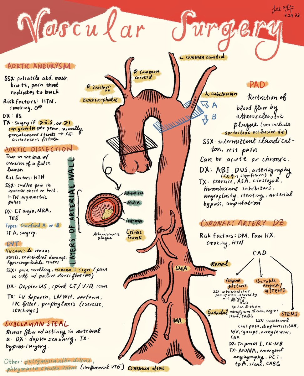 Vascular surgery topics  <a href="/ysaralee/">Yeonsoo Sara Lee, MD</a> #BJHM #Surgery #FOAMed #Medtwitter #MedEd #vascular #medstudenttwitter