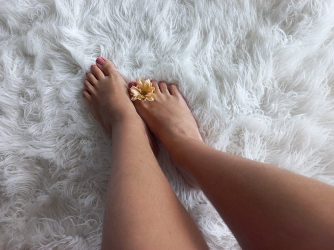 @Footlover24and7 Happy Toesday 😼😻 https://t.co/q7glGfftsw<a class="tags" target="_blank" title="On Twitter" href="/?out=eyJ0eXAiOiJKV1QiLCJhbGciOiJIUzUxMiJ9.eyJpYXQiOjE3MjYzMTg2NTcsImlzcyI6InR3cG9ybnN0YXJzLmNvbSIsIm5iZiI6MTcyNjMxODY1NywiZXhwIjoxNzU3ODU0NjU3LCJyZWRpcmVjdF91cmwiOiJodHRwczovL3R3aXR0ZXIuY29tL0Zvb3Rsb3ZlcjI0YW5kNyJ9.0FHzM1CNncO7VEZQDguFJm0nXu050sJZwlSJXriK-LcwlD8v_iy6daGh7Oryop_K9_2aL6XZb5rPqBbXoLqMzg">@Footlover24and7</a><a href="/tag/nuevafotodeperfil"class="tags"><span>#nuevafotodeperfil</span></a>