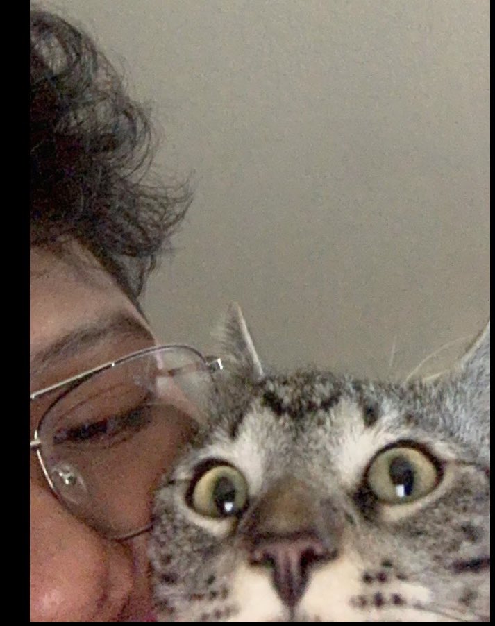 mudbonethetabby's tweet photo. When your bro decides to take a selfie with the family cat 🤣 #thekitkat #selfiemoment #mycatforlife #graytabby https://t.co/Jb29z589Dw