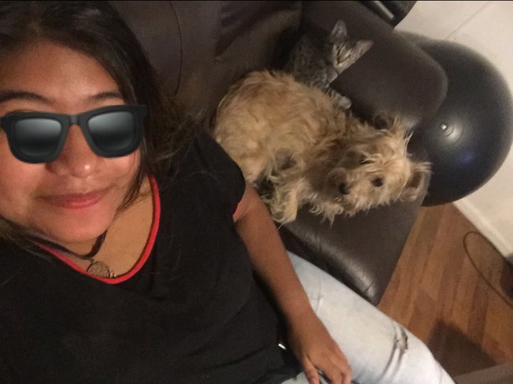 mudbonethetabby's tweet photo. Selfies with animals and ofc with the KitKat #animalsforlife #mycat #animallover 🥰 https://t.co/rkJMq2UdzD