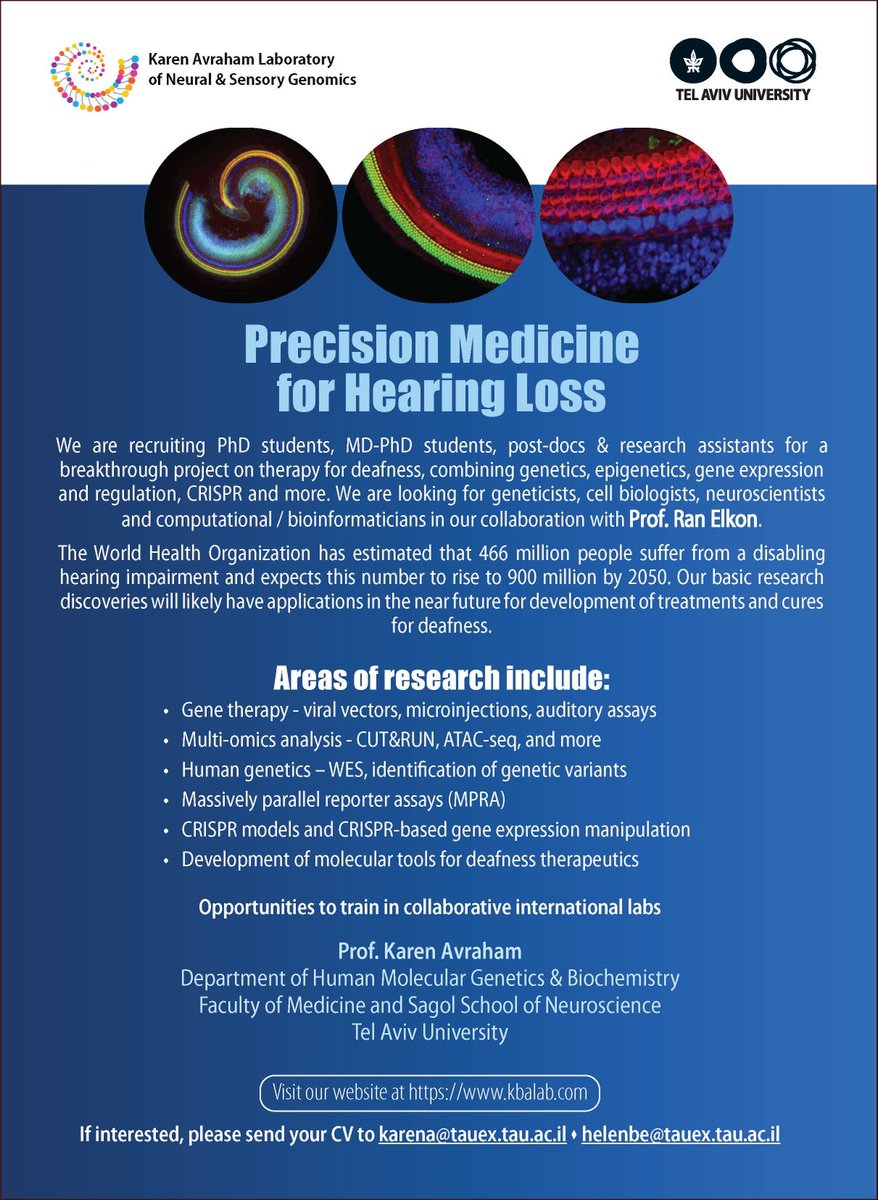 Karen B. Avraham tweet media