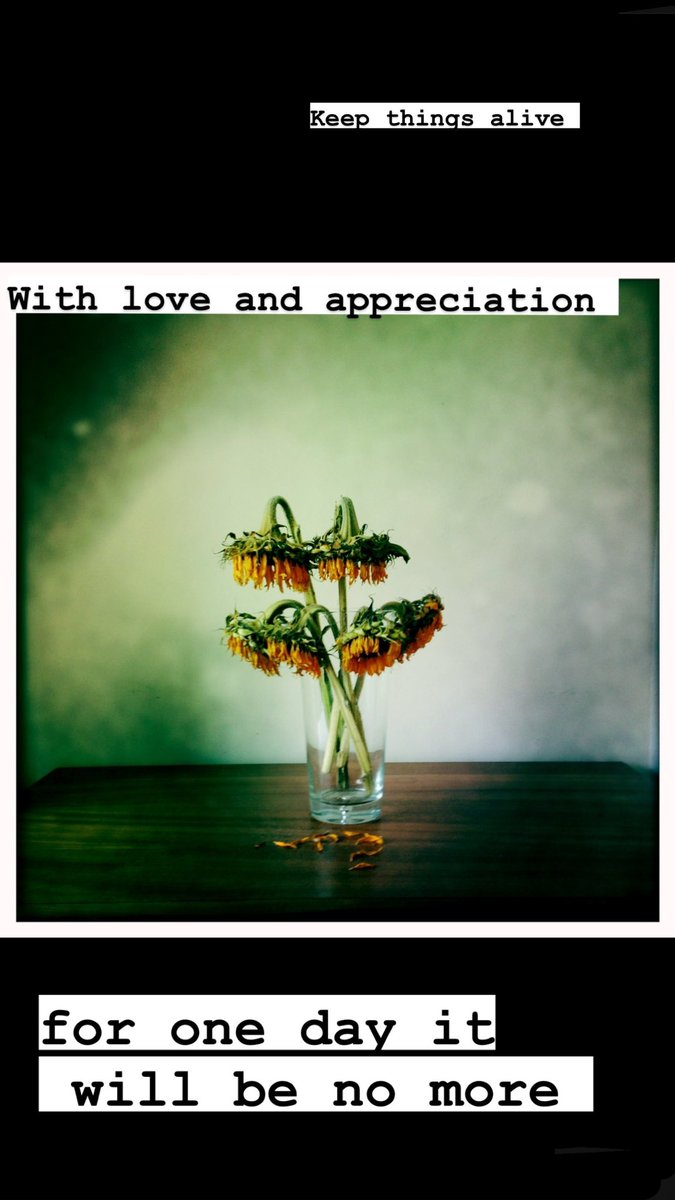 lovelock_thinks's tweet photo. One of my lessons #life #LifeLessons #love https://t.co/WH5FUGQA49