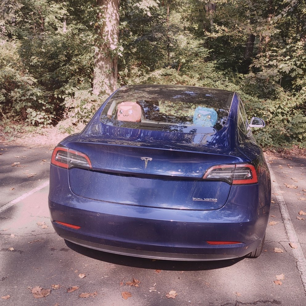 CyanSnow tweet media