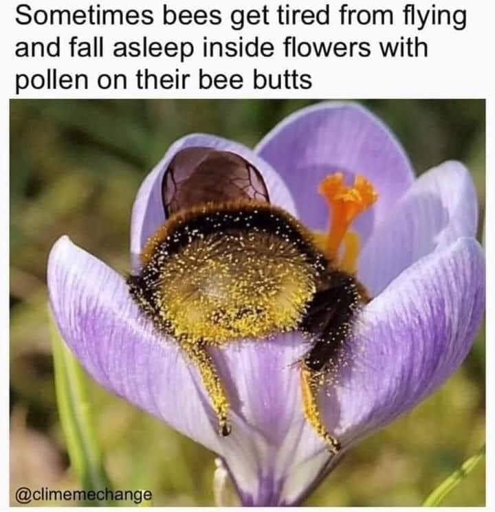 WholesomeMemes tweet media