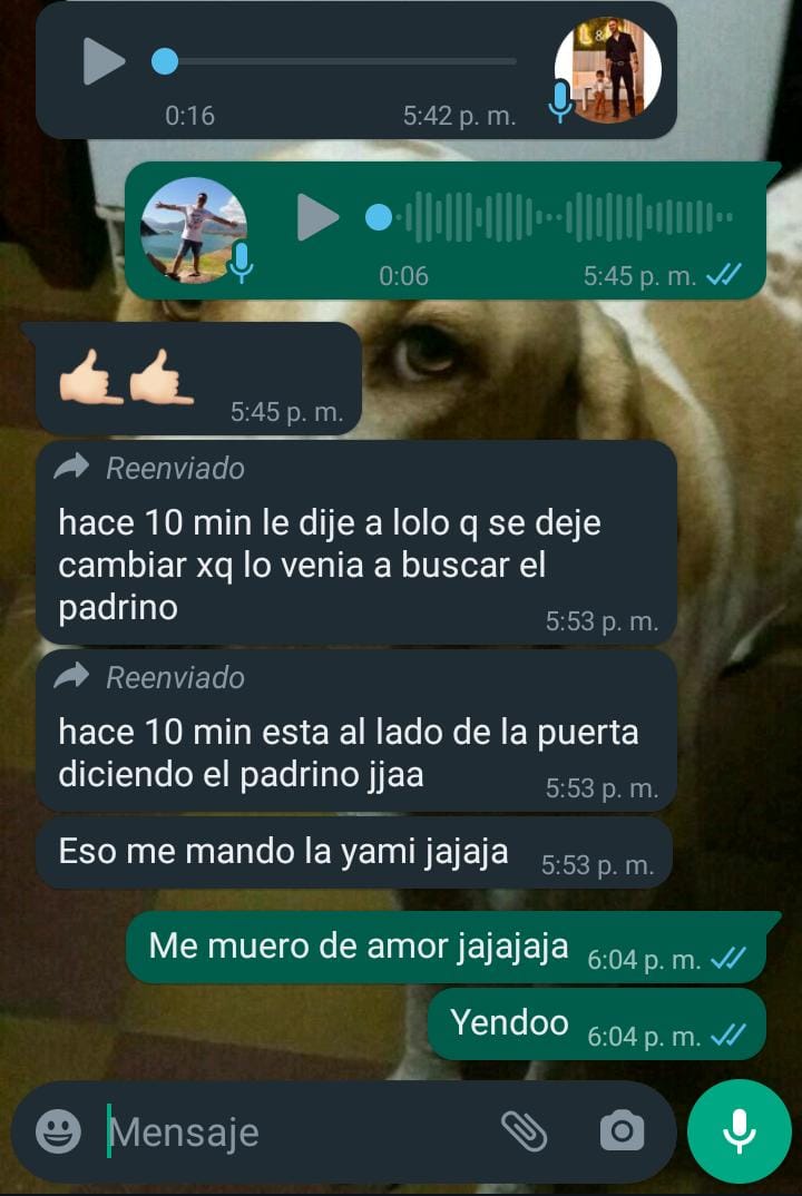 FabrizioDompe's tweet photo. Acompañenme a ver esta historia feliz https://t.co/s2o83ptWSi
