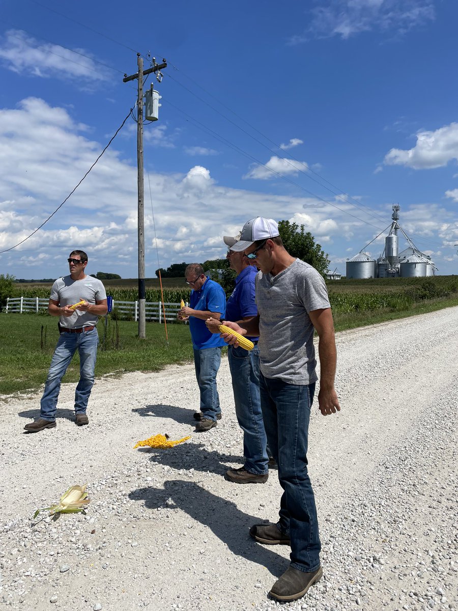 Dylan Davidson tweet media