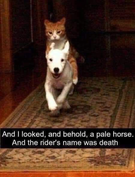 memebrary's tweet photo. https://t.co/114qlm46Bw