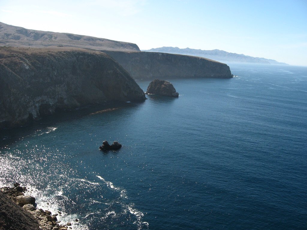 socalbot's tweet photo. We’re so excited to announce this year’s Southern California Botanist’s symposium:
Islands: Isolated but not Desolate! We’ll have speakers talking about everything from the California Channel Islands to sky islands, and everything in between! https://t.co/oSL51eb7f7