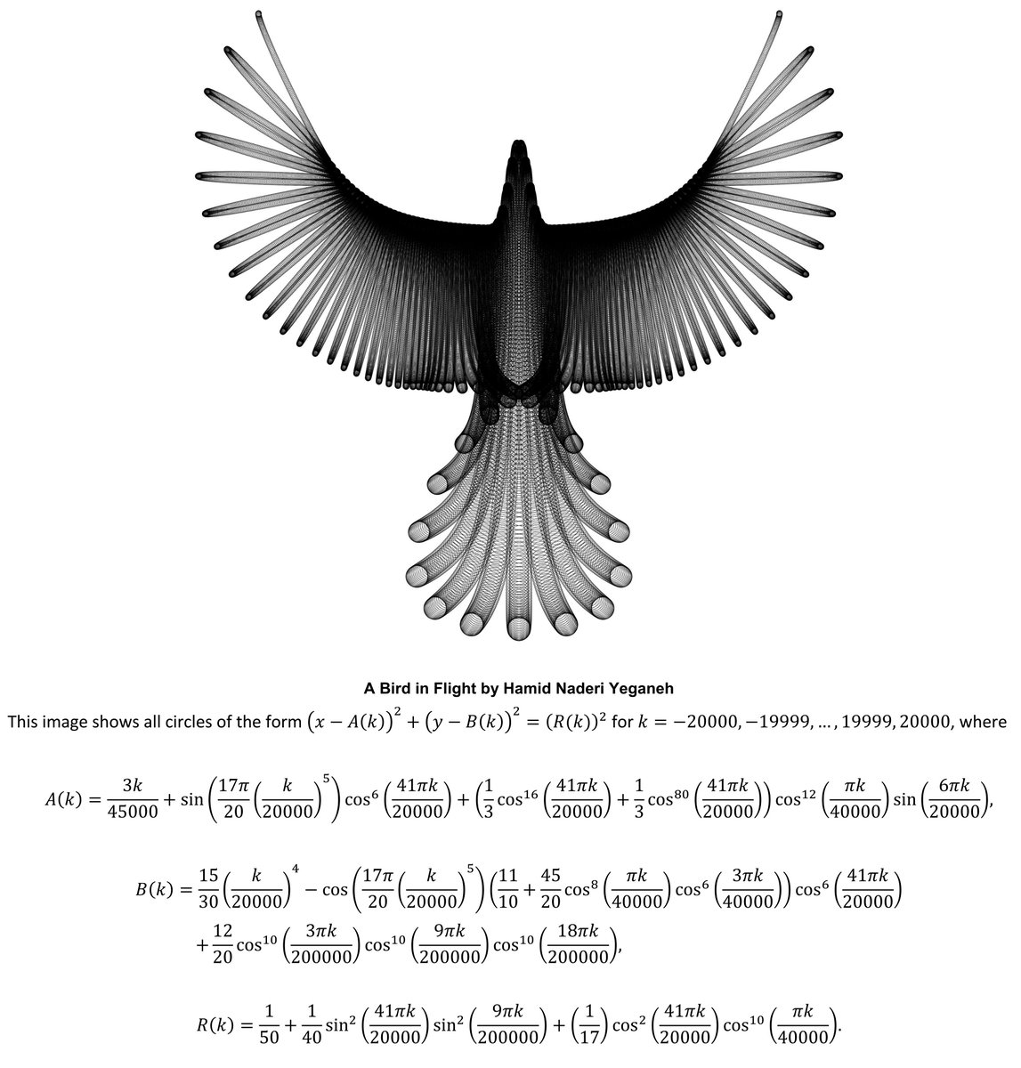 Mathematics and beauty.

Bird in Flight, rises from the fabric of mathematics, by Hamid Naderi Yeganeh,@naderi_yeganeh, Used with permission.  Magnify image to see amazing detail.