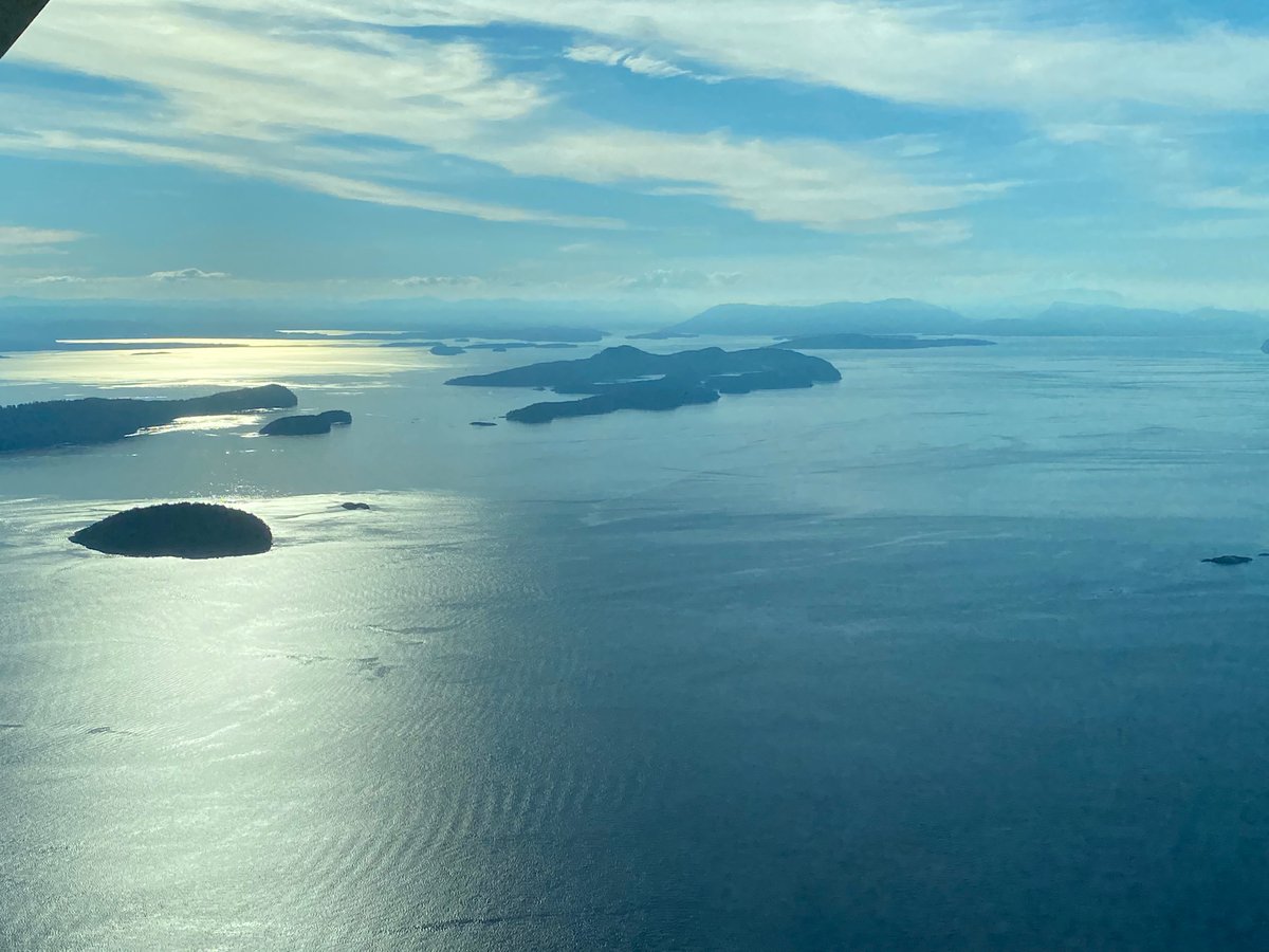 Adrienne Fairhall tweet media