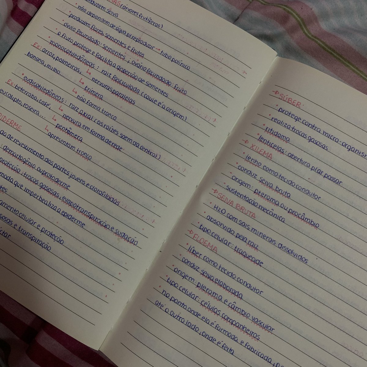 deppstudies's tweet image. esses resumos que fiz no ensino médio me ajudaram TANTOO 🥹🤏🏻