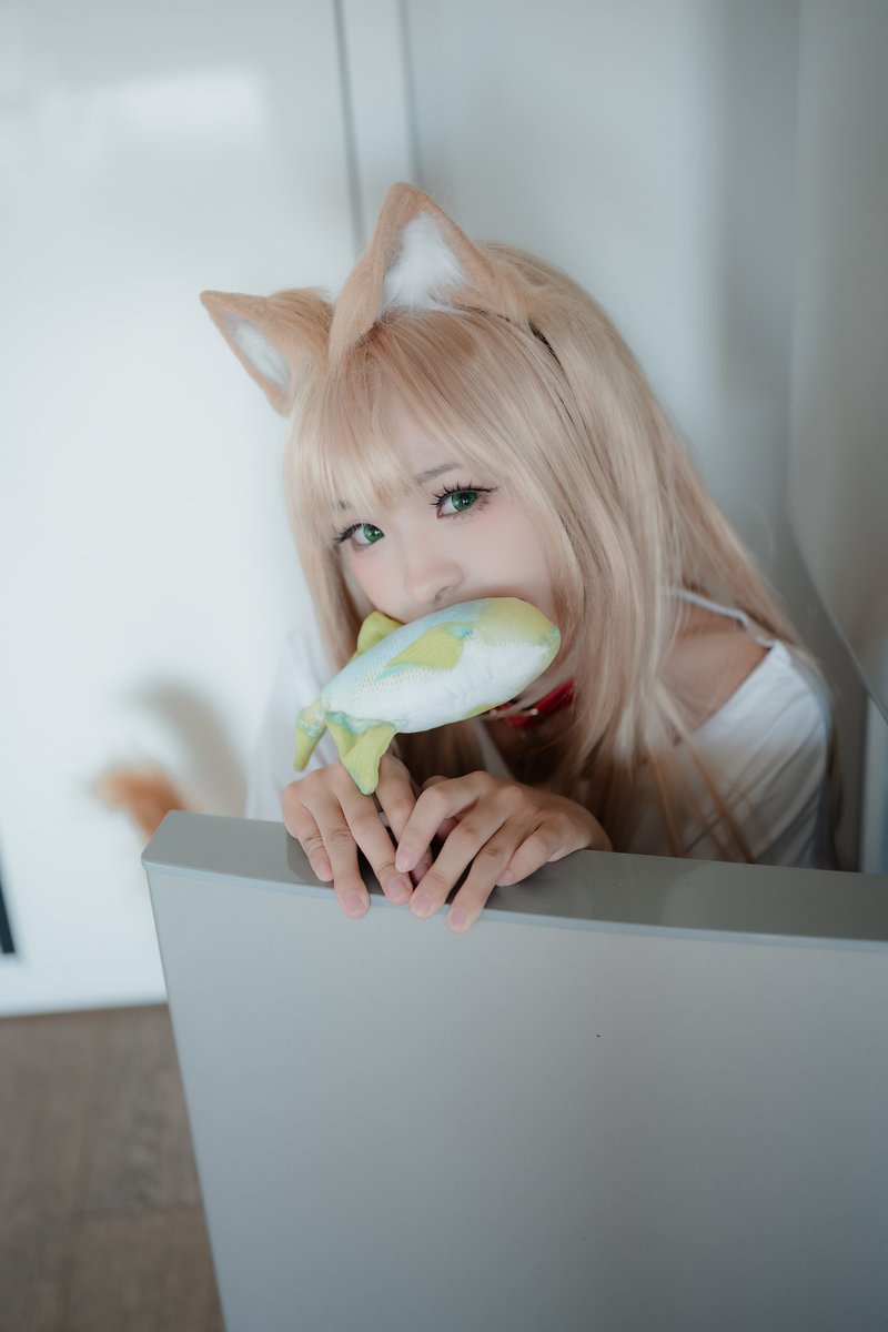 鱼🐟！
谁不喜欢黄豆粉呀～
📷@老蔡

#cosplay #猫娘 #萝莉 #黄豆粉 https://t.co/2327tU1ZxI