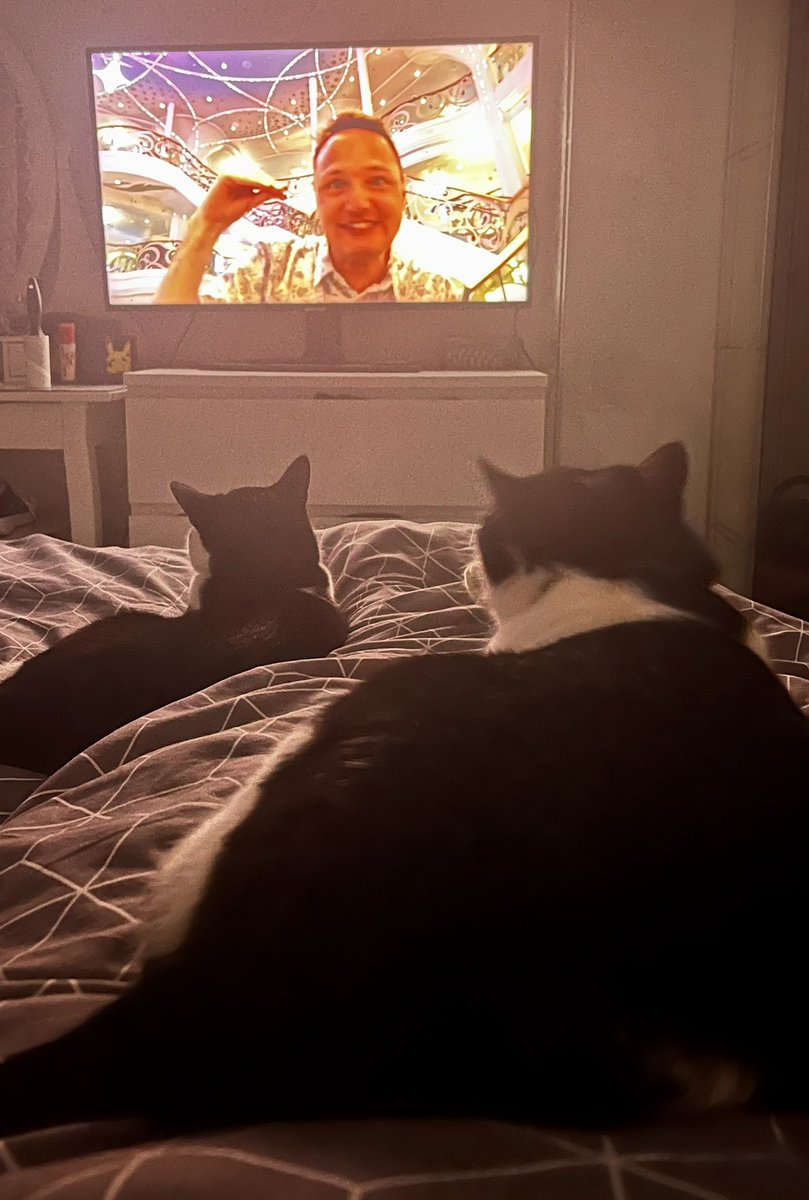 LooRiley's tweet photo. The fur children are definite @adamhattan &amp; @oohgaryc fans 🥹💕 https://t.co/gtPapdrJ2Q