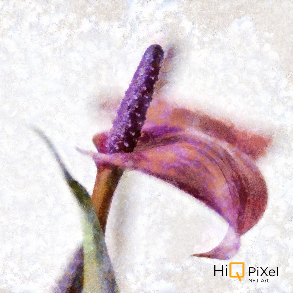 HiqPixel's tweet photo. #beautiful #flower for #you #nft https://t.co/OpXpcoince