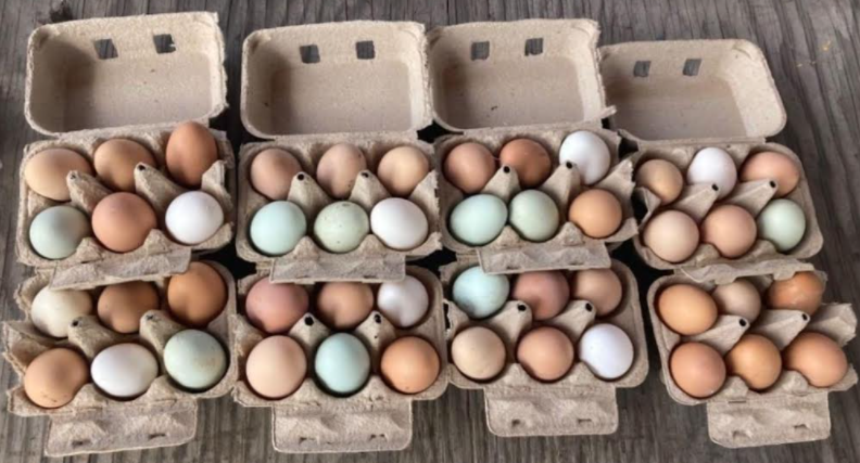 City Slicker Farms tweet media