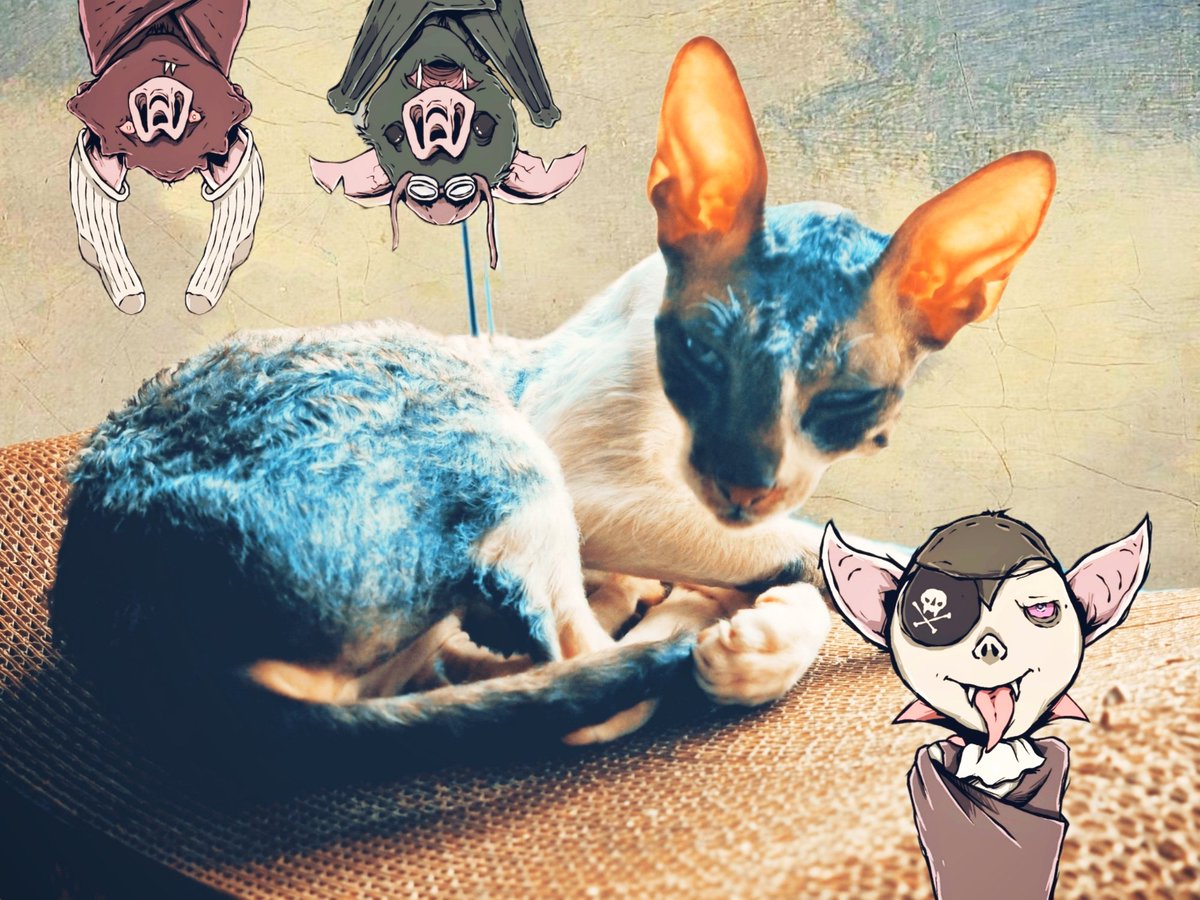 Seyfuddin.eth tweet media