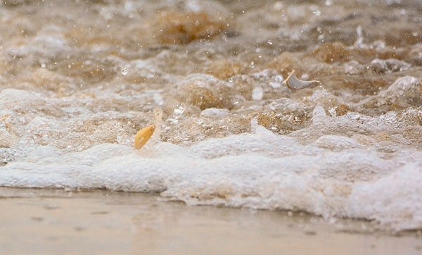 New artwork for sale! - "The Bubbly Ocean" - fineartamerica.com/featured/the-b… @fineartamerica