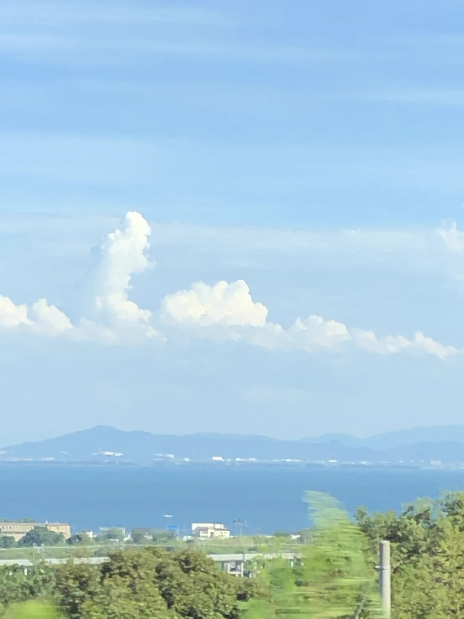 @Samng64668002 俺も旅行中ゴジラチック？なやつみた
ゴジラかなこれ？🤣 