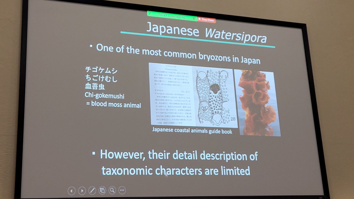 Nice talk by <a href="/moostiere/">Masato Hirose</a> on reexaminating the morphological characters of Watersipora based on morphology and molecular data at #IBA2022 <a href="/Bryozoology/">International Bryozoology Association</a>. Bryozoa in Japanese = #kokemushi