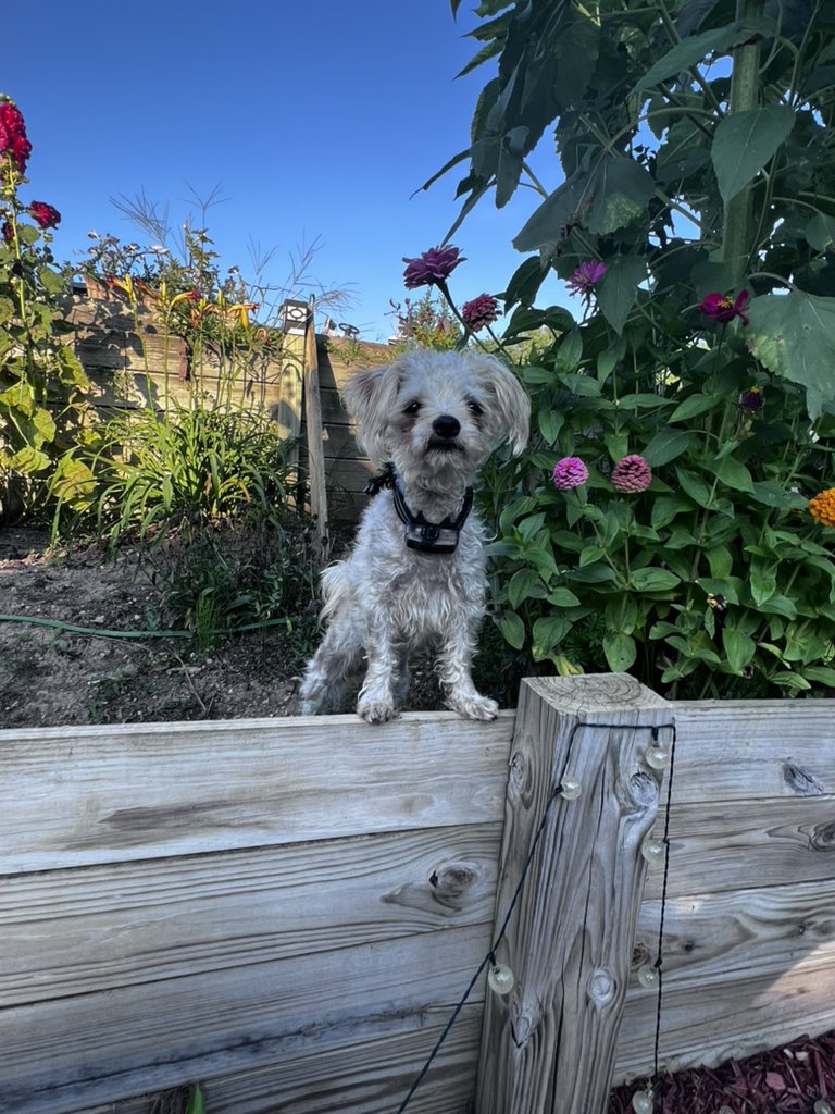 Checking out the flowers