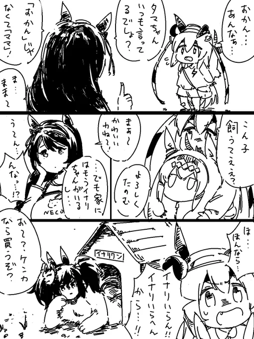 タマちゃん家 