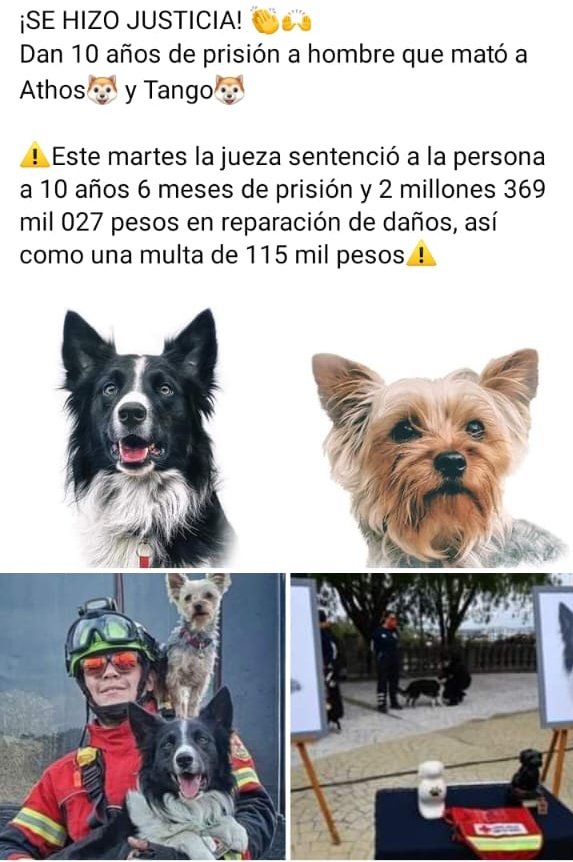 lebendak's tweet photo. Finalmente un poco de justicia. Espero que también llegue algo de esto al caso de Maple.
#justiciaparamaple
#dondeestamaple
#todossomosmaple
#JusticiaParaAthosYTango https://t.co/XPCFp0JHWx