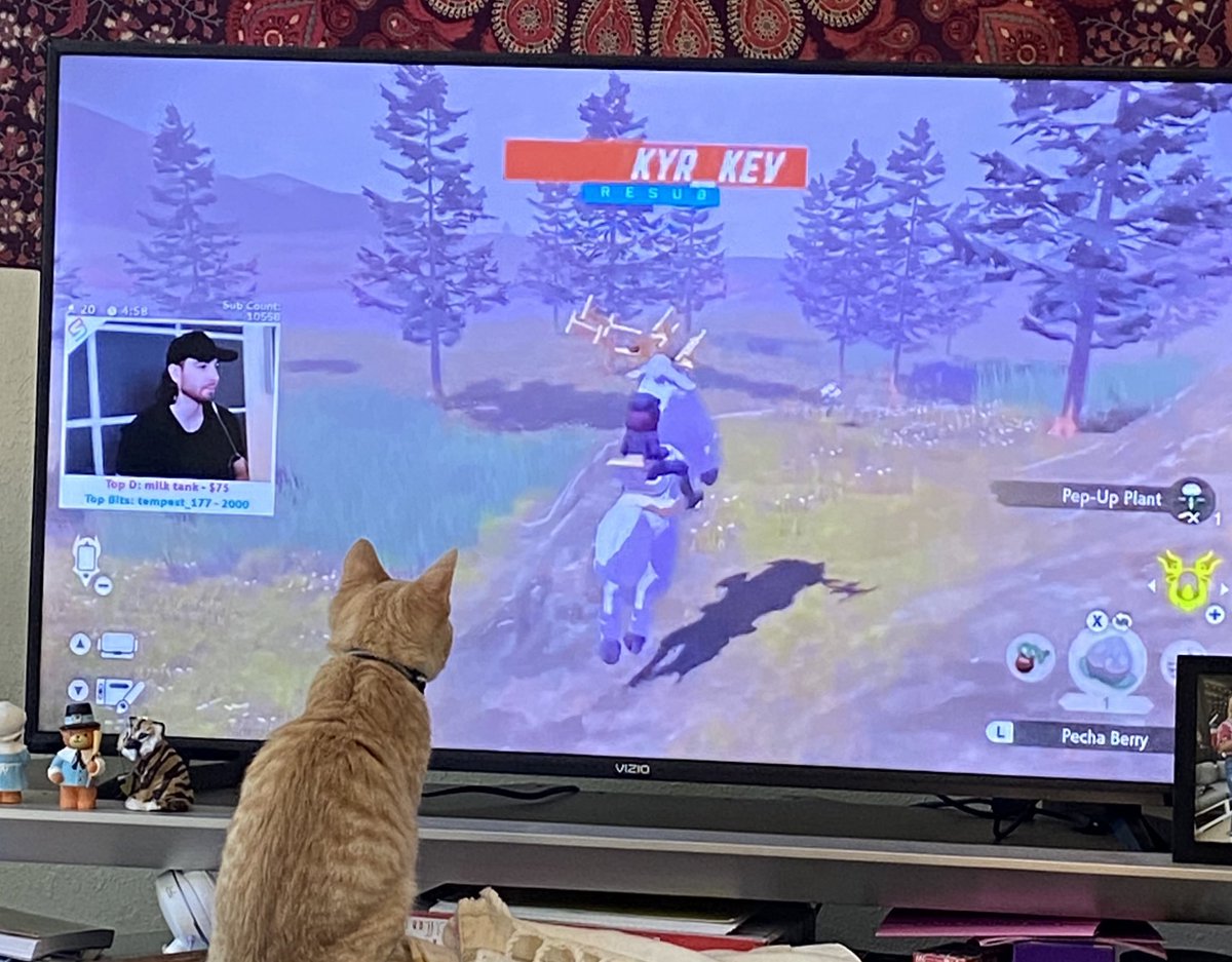 itsfreakingigi's tweet photo. Sonny’s a big @KYR_SP33DY fan https://t.co/DTQMozgOVP