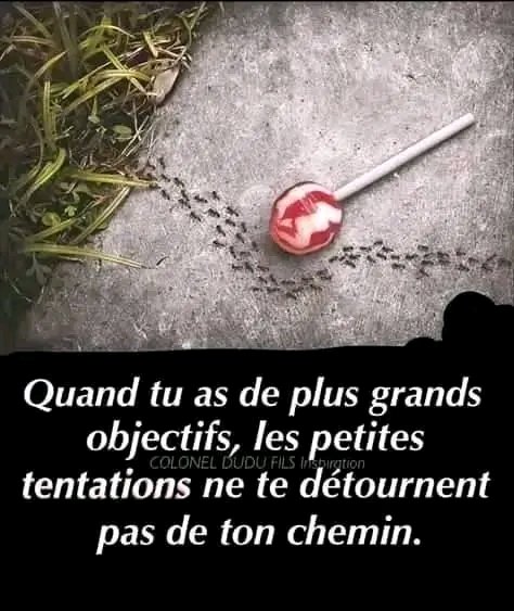 Ballin People🐜♏️🤴🦁💎🇭🇹🇵🇹🇧🇷 tweet media