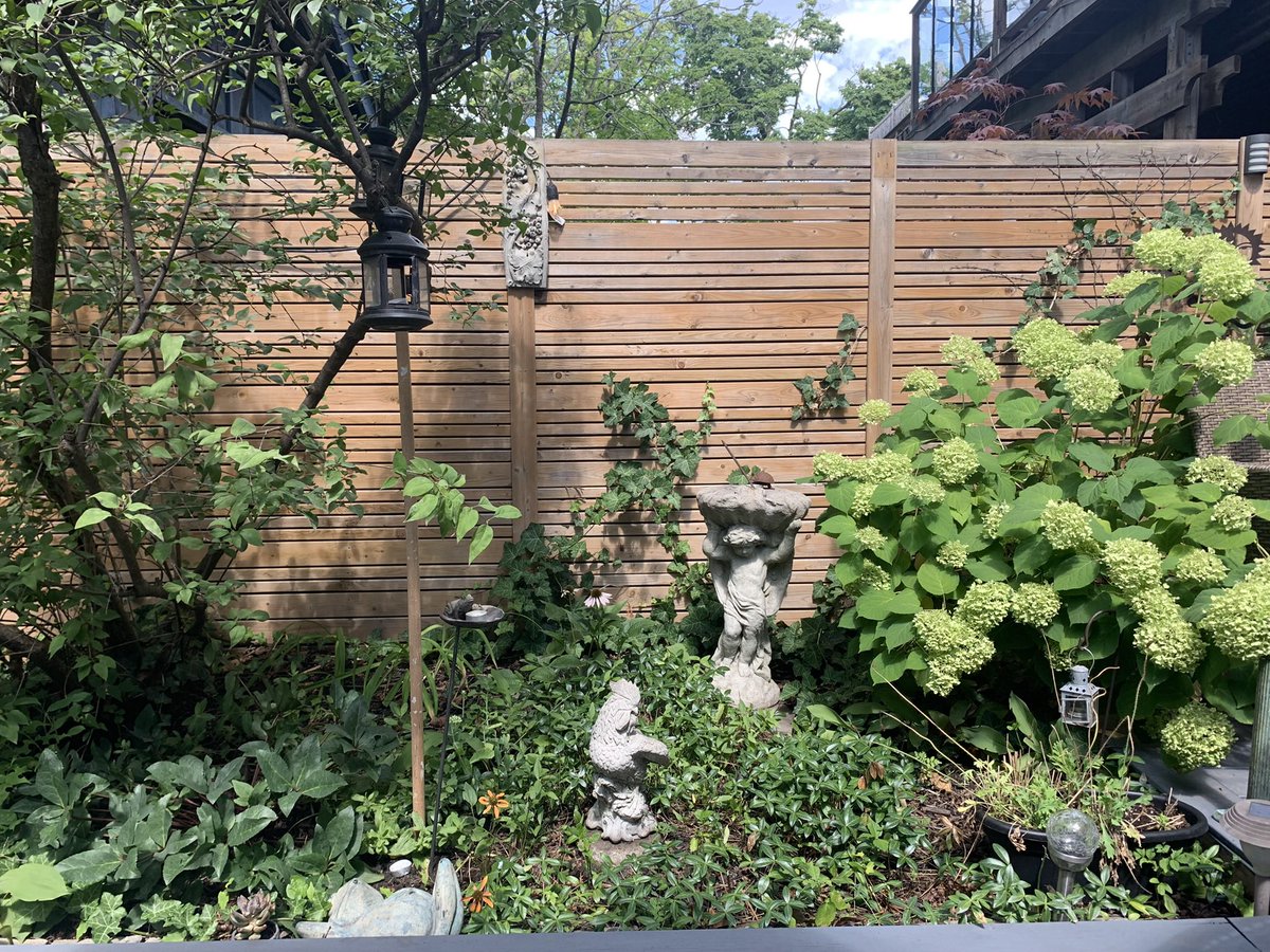 janetsomerville's tweet photo. Spent the afternoon with friends, dodging wasps, in this beautiful urban garden. #Toronto https://t.co/yIxwMdghSv